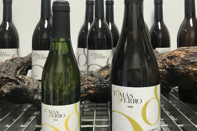 Agrónomos elabora por primera vez una edición limitada de vino dulce de Merseguera