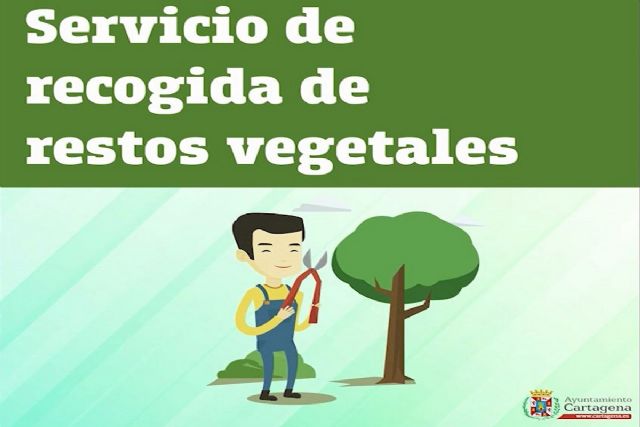 El Ayuntamiento habilita un servicio especial de teléfono para reforzar la recogida de restos vegetales en las zonas costeras de Cartagena