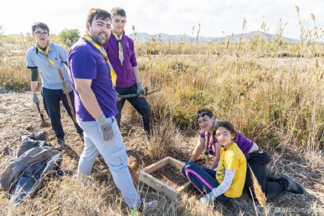 Más de 200 personas participan en una limpieza ambiental en el saladar Lo Poyo y el Mar Menor