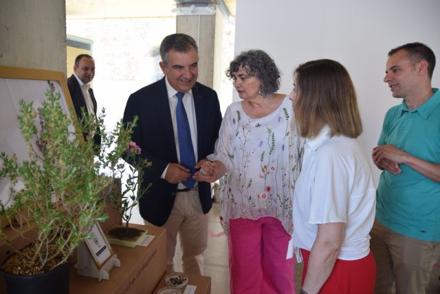 La UPCT exhibe la jara de Cartagena que ha salvado de la extinción: quedaban cinco plantas y ahora hay mil