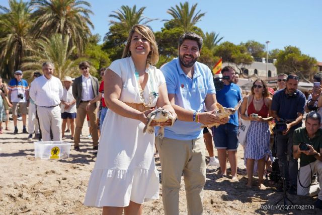 Liberan 30 tortugas bobas en Isla Plana y hallan rastros de este animal protegido en Cabo de Palos