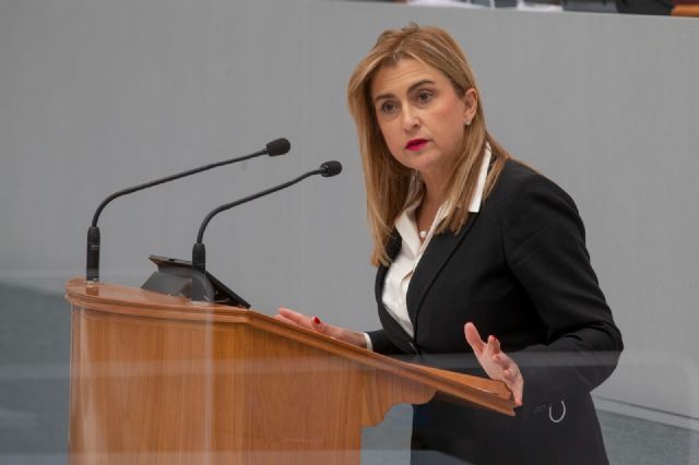 Carmina Fernández: 'El Ayuntamiento de Cartagena pone en riesgo la salud de los vecinos y vecinas incumpliendo los protocolos y planes anticontaminación'