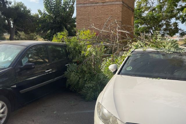 Daños en vehículos al caer ramas por viento en José María Lapuerta