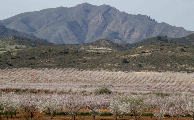 Si Cartagena propone declarar espacio protegido a toda la zona oeste para evitar la construcción de la cantera