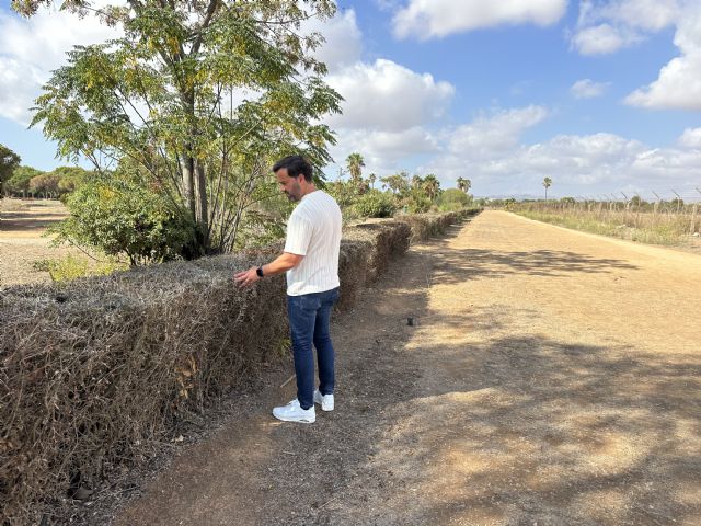 El Parque de los Exploradores refleja la despreocupación del gobierno de Arroyo por las zonas verdes del municipio