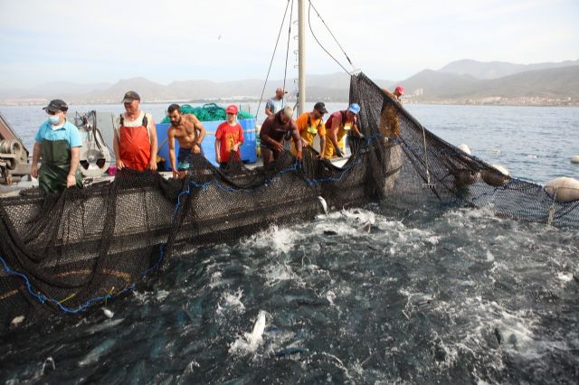 La defensa de la pesca artesanal será protagonista esta tarde en Cartagena con la proyección de un documental