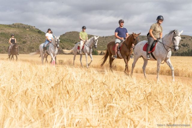 Cien actividades de ocio y cursos gratuitos para jóvenes este otoño en Cartagena con el T-LA