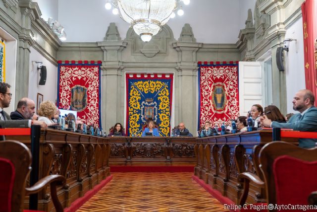 El pleno se muestra unido en su apoyo y solidaridad con Valencia