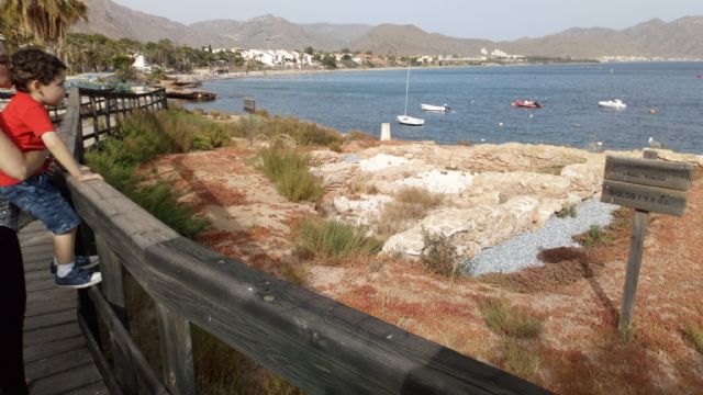 El Partido Cantonal pide visitas guiadas a los Baños de la Marrana y al yacimiento romano de Isla Plana