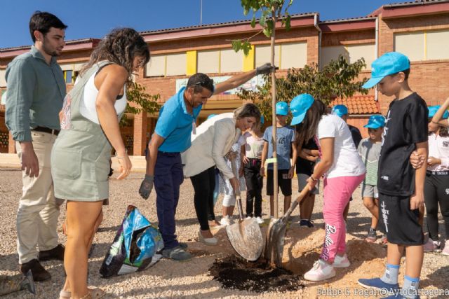 El Ayuntamiento amplía a más de 100 árboles el plan de sombraje natural en los colegios este curso