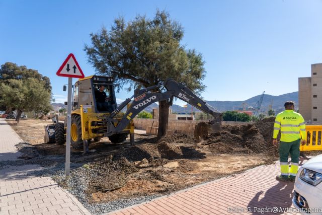 El Ayuntamiento repone más de 300 árboles por todo el municipio