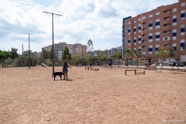 MC pide más parques y playas caninas, así como mayor intensidad en el cumplimiento de las ordenanzas municipales en materia higiénico-sanitaria