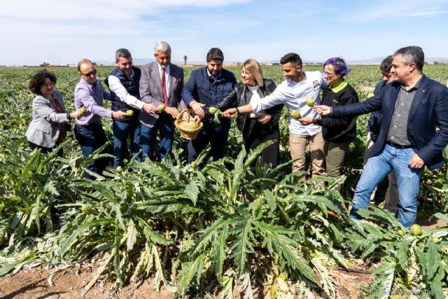 Cartagena muestra orgullosa sus alcachofas en la IV edición de ´El colmo de los colmos´