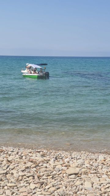 MC denuncia que el PP permite que la playa canina de La Calera sea hoy un estercolero