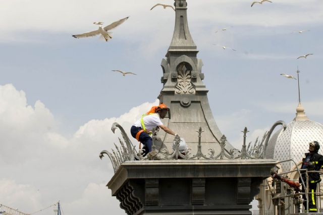 El Ayuntamiento mejora el control de palomas, gaviotas y mosquitos con más de 1 millón de euros