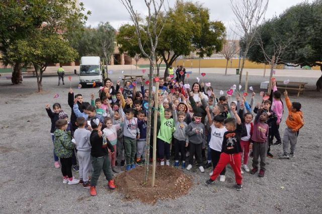 La campaña de plantación de árboles de Educación llevará 84 nuevos ejemplares a los colegios del municipio