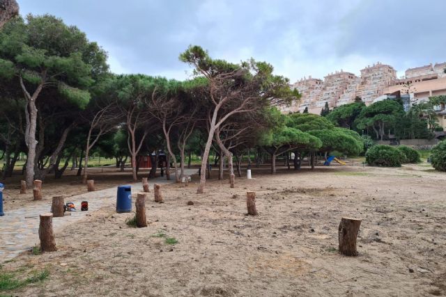 El Ayuntamiento de Cartagena repoblará con árboles jóvenes la Cala del Pino