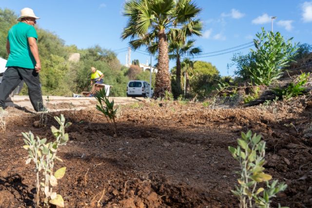 El Ayuntamiento activará en enero el principal lote del nuevo contrato de jardines tras su desbloqueo judicial