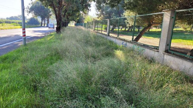 El PSOE denuncia la situación de abandono de las vias peatonales y carril bici entre Santa Ana y el Polígono Residencial