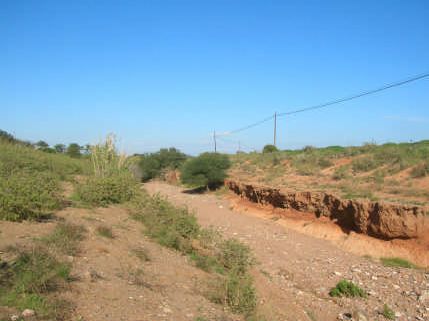 Ramblas de la sierra minera de Cartagena