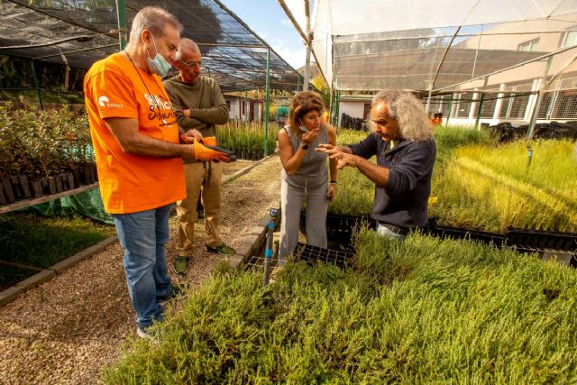 El Cartagena Jazz Festival, Soltec y Anse realizarán un voluntariado de recuperación de flora autóctona en Tallante