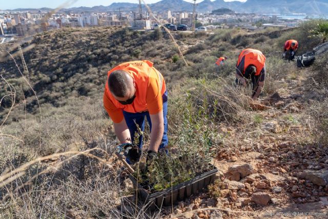 Medio Ambiente convoca subvenciones para reforestación y revegetación por importe de 15.000 euros