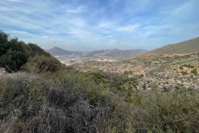 Autorizado el rececho nocturno de jabalíes cerdalíes este viernes en Calblanque, Lo Poyo, El Carmolí y Escombreras