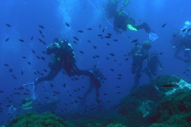 Los Campeonatos de España de Imagen y Vídeo Submarino dan la salida en Cabo de Palos a los I Juegos del Agua