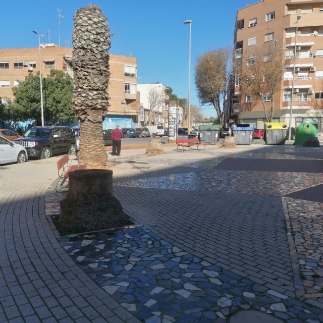 Plazas y parques sin árboles