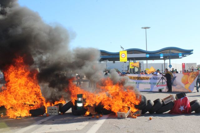 Unión de Uniones denuncia que el puerto de Cartagena mantiene las bonificaciones a los cítricos importados en medio de una grave crisis del sector limonero