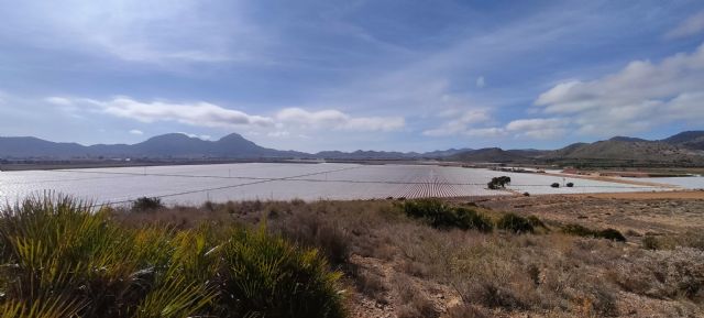 La Junta de Usuarios de las masas de agua subterránea Campo de Cartagenaeligen presidentes y miembros de la comisión redactora