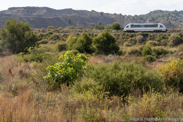 La alcaldesa de Cartagena pide a Renfe que deje subir bicicletas al tren de Los Nietos